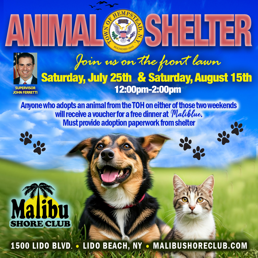 TOH Animal Shelter Adoption Day